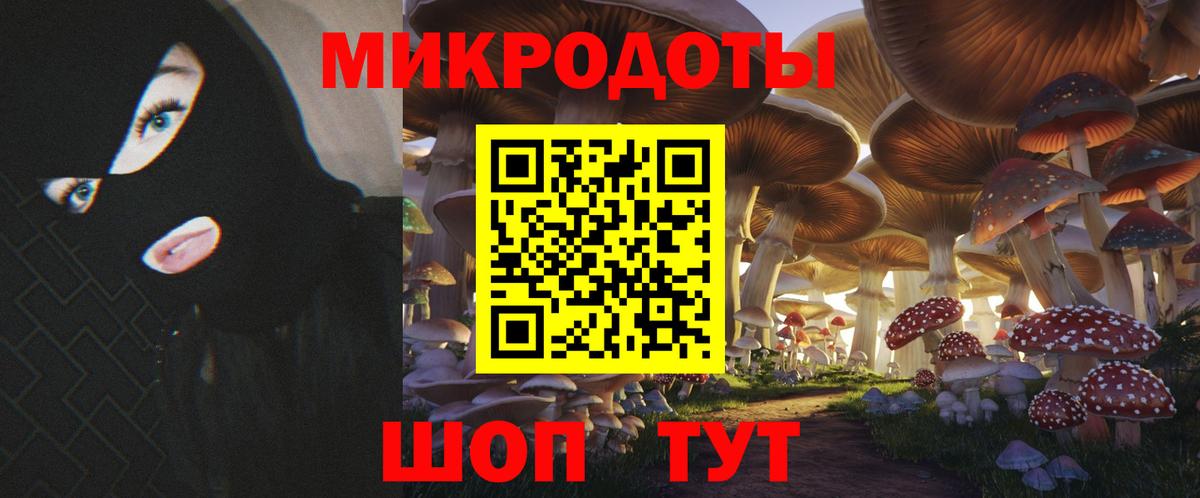 Тихвин  Псилоцибиновые грибы Cubensis  Вход с VPN 